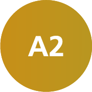 A2 A2