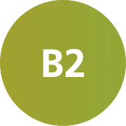 B2 B2